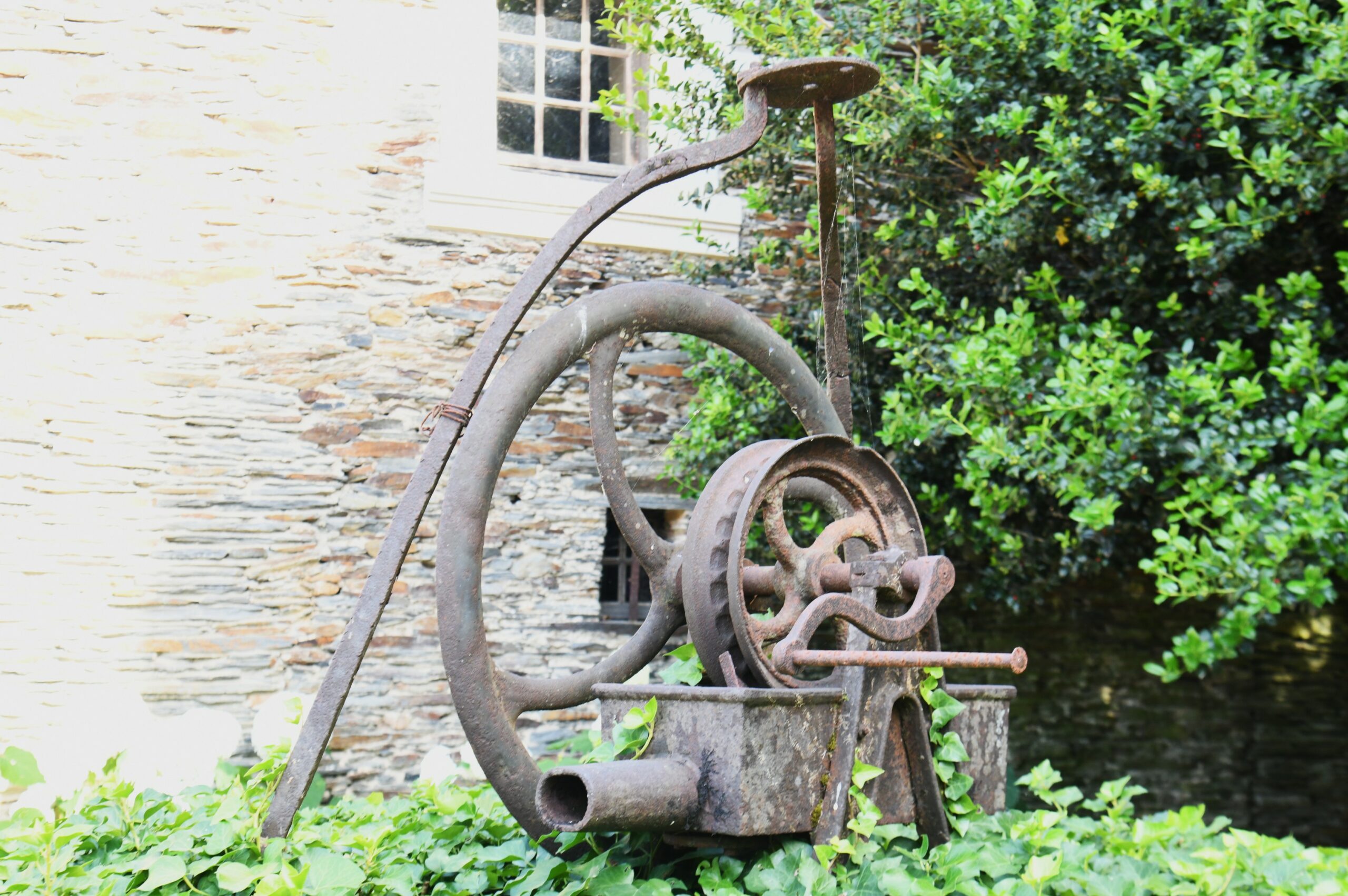 dsc 0300