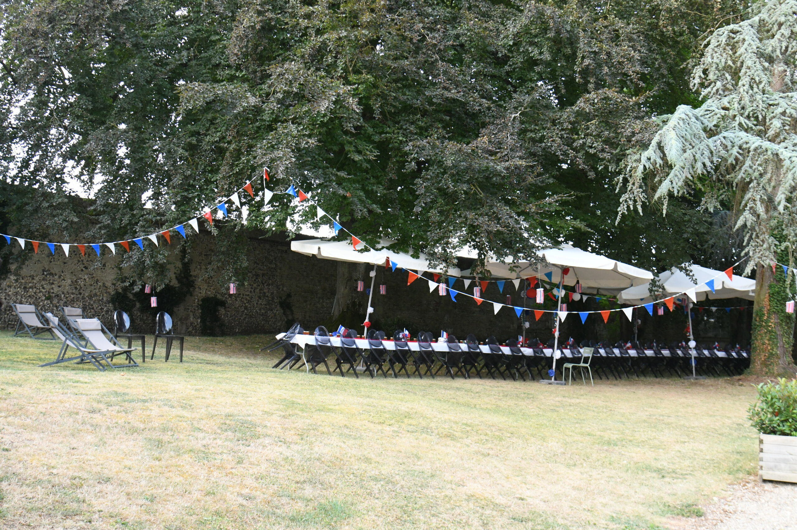dsc 1393